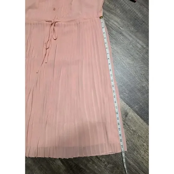 WLDRSD Pink Pleated Chiffon Midi Dress Small NWT Sheer Pastel Button Up - Picture 4 of 6